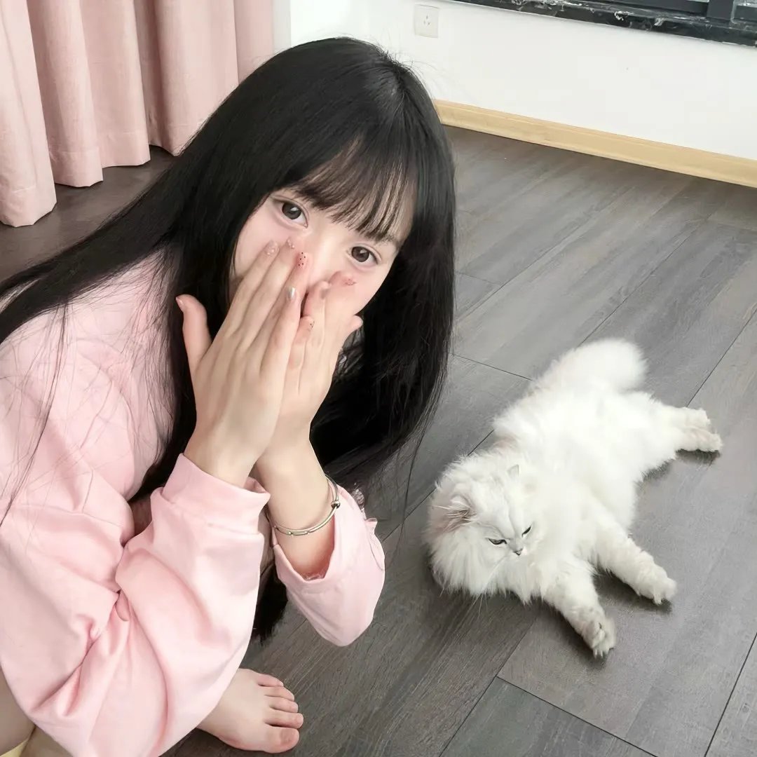 天蝎第二季